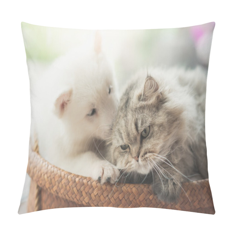 Personality  Cute Siberian Husky And Persian Cat Lying  Pillow Covers