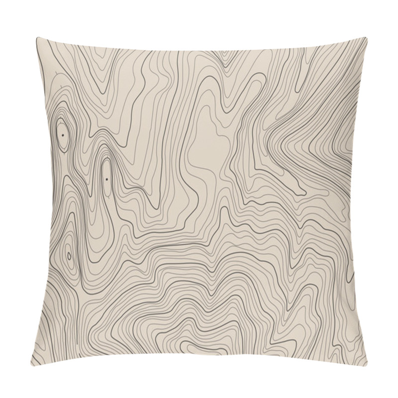 Personality  Topographic Map With Contour Lines Pillow Covers