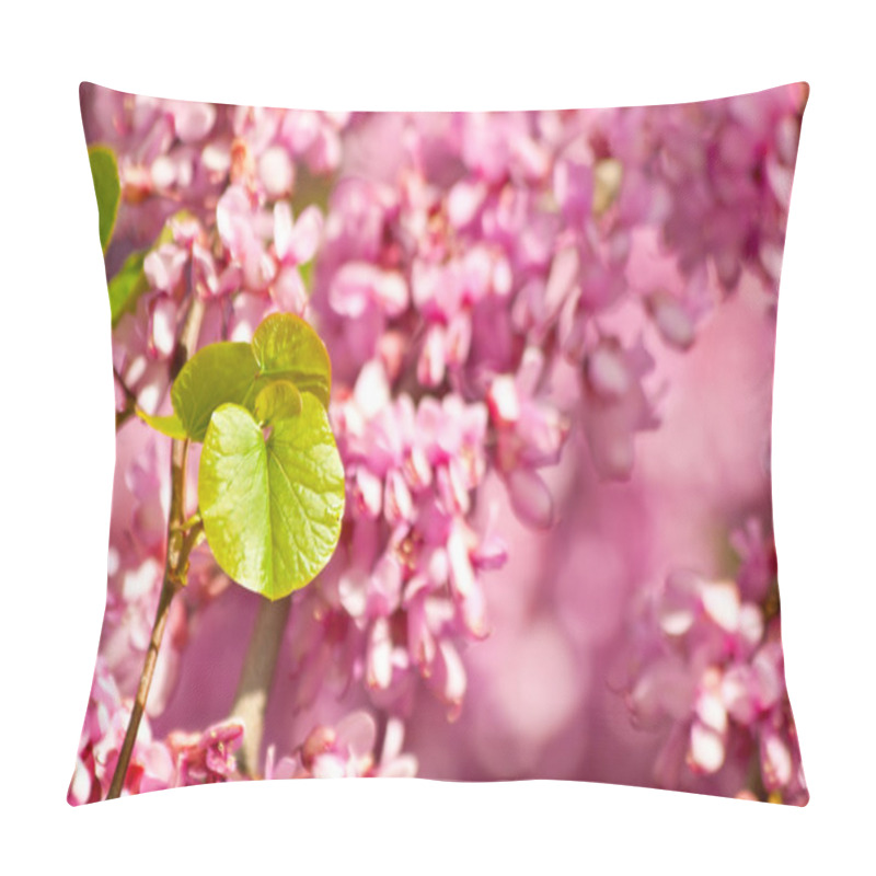 Personality  Judas Tree Flower And Leaves Pillow Covers