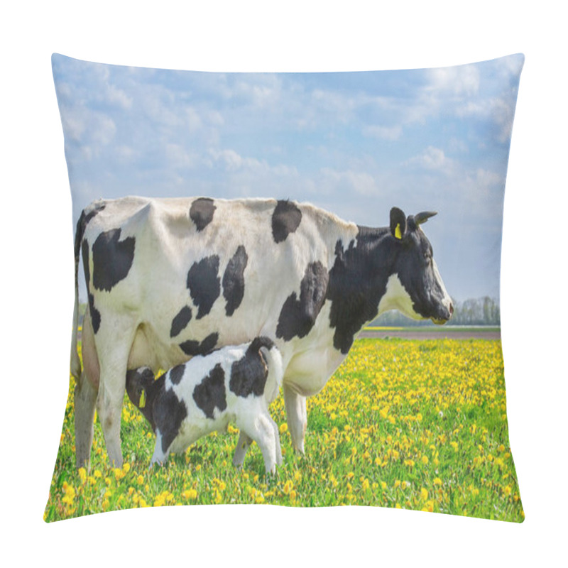 Personality  Cow And Drinking Calf In Dutch Meadow With Dandelions  Pillow Covers