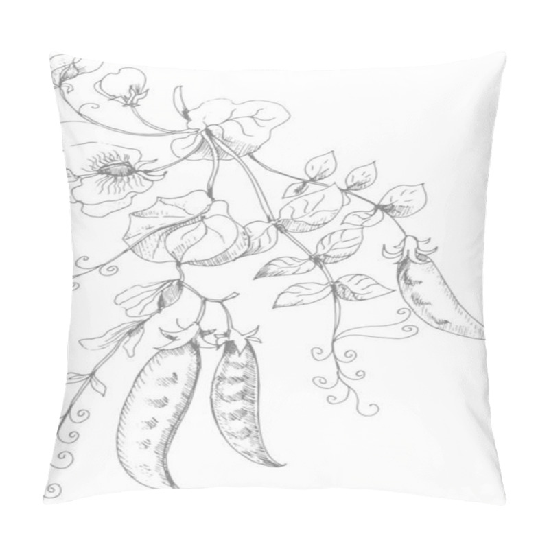 Personality  Peas Fruit Leaves Flowers Twigs. Graphic Illustration Hand-drawn, Vector. Food Menu Food. Vegetable Garden Harvest Natural Products Pillow Covers