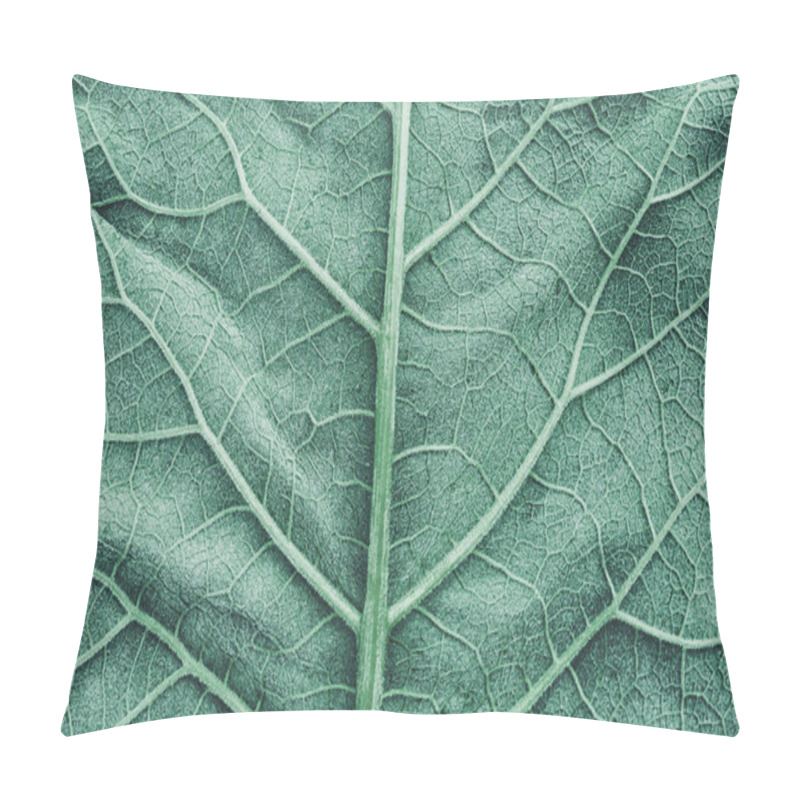 Personality  Green Burdock Leaves Texture Background. Close-up, Macro. Pillow Covers