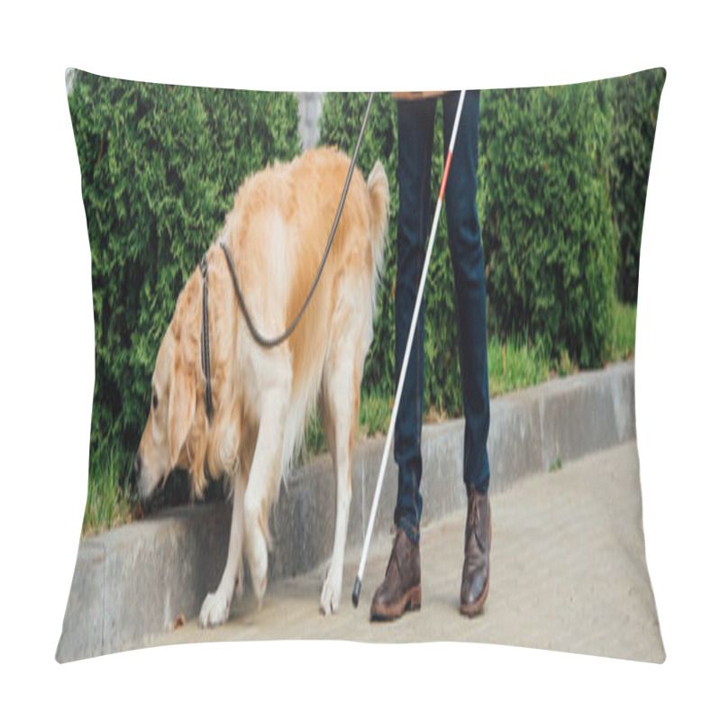 Personality  Cropped View Of Man With Walking Stick And Guide Dog On Street, Panoramic Shot Pillow Covers