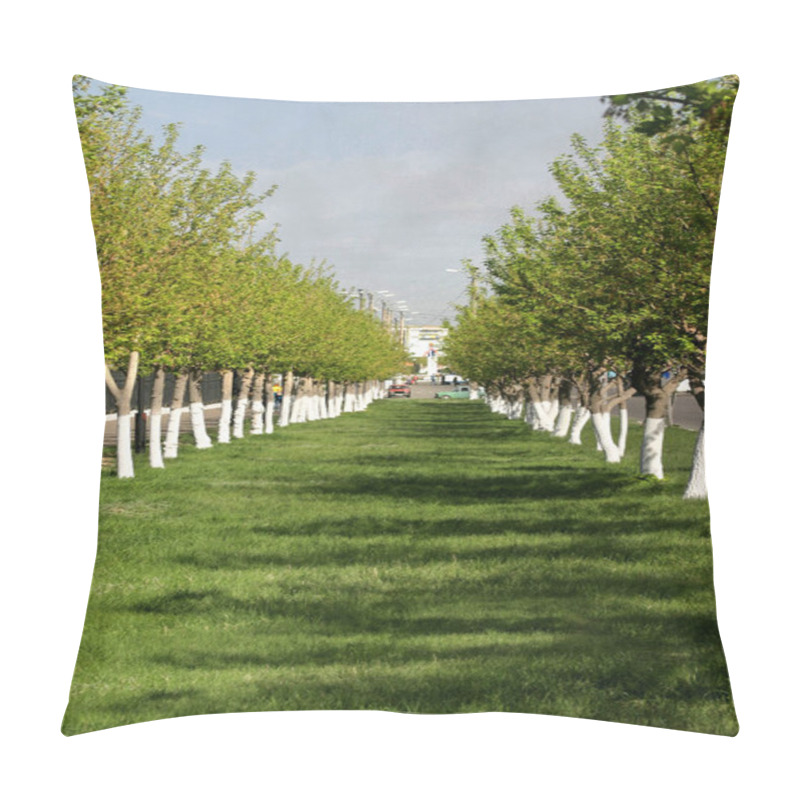 Personality  A Symmetrical Green Alley Of Trees In The Park. High Quality Photo Pillow Covers