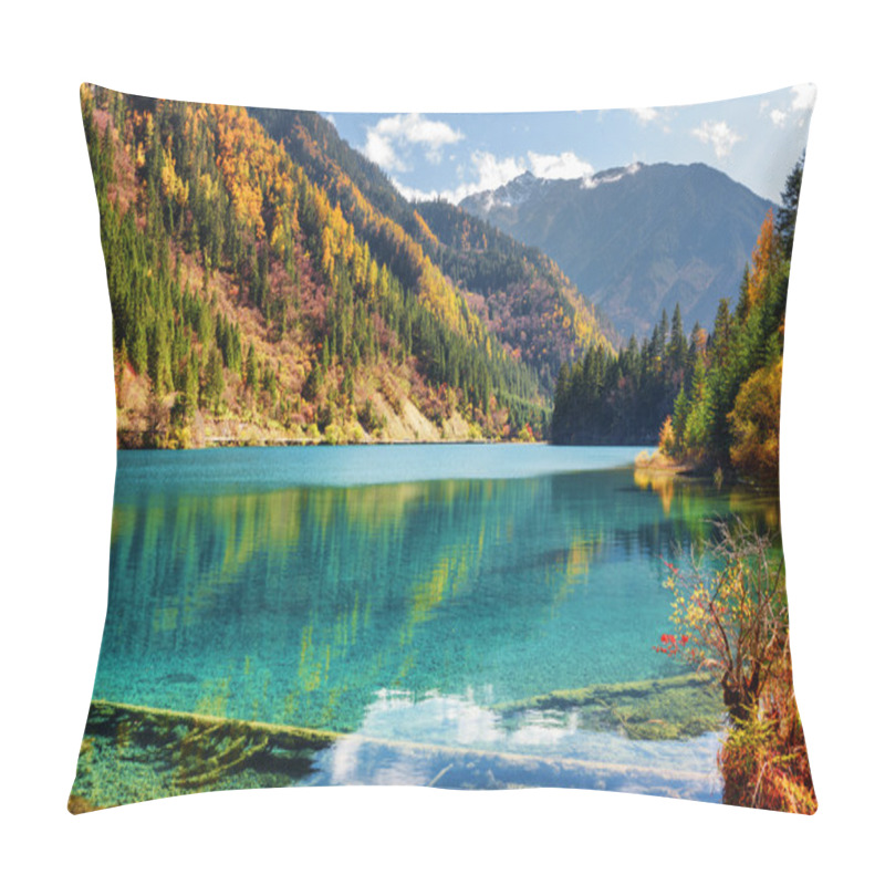 Personality  Amazing View Of The Arrow Bamboo Lake Among Autumn Woods Pillow Covers