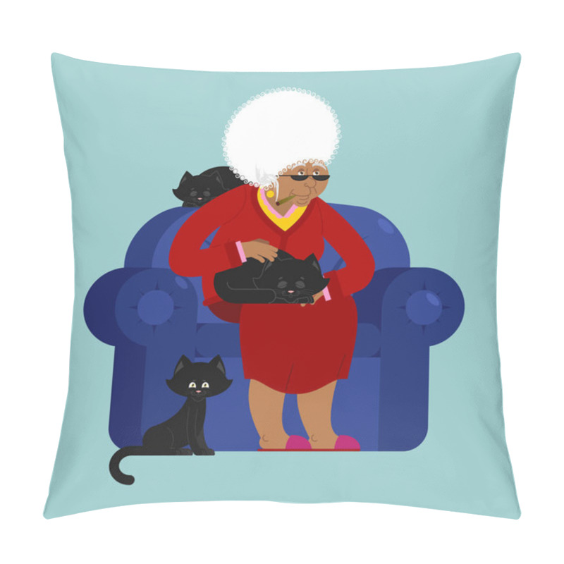 Personality  African American Grandmother And Cat Sitting On Chair. Granny Ca Pillow Covers