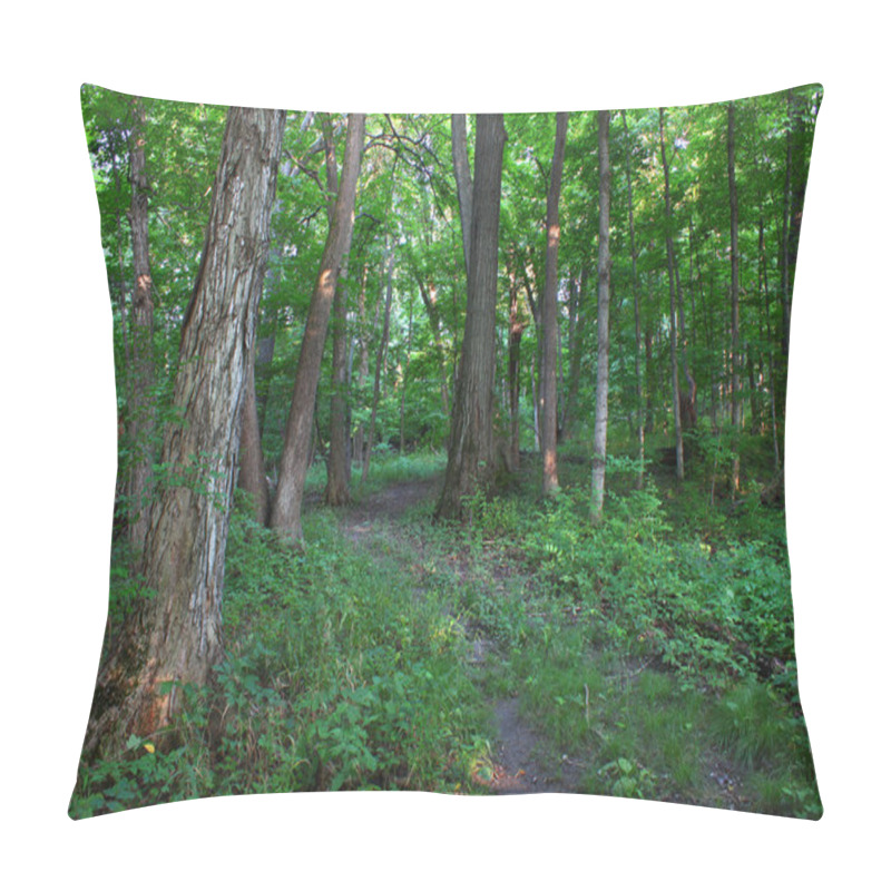 Personality  Forest Scenery - Shabbona, Illinois Pillow Covers