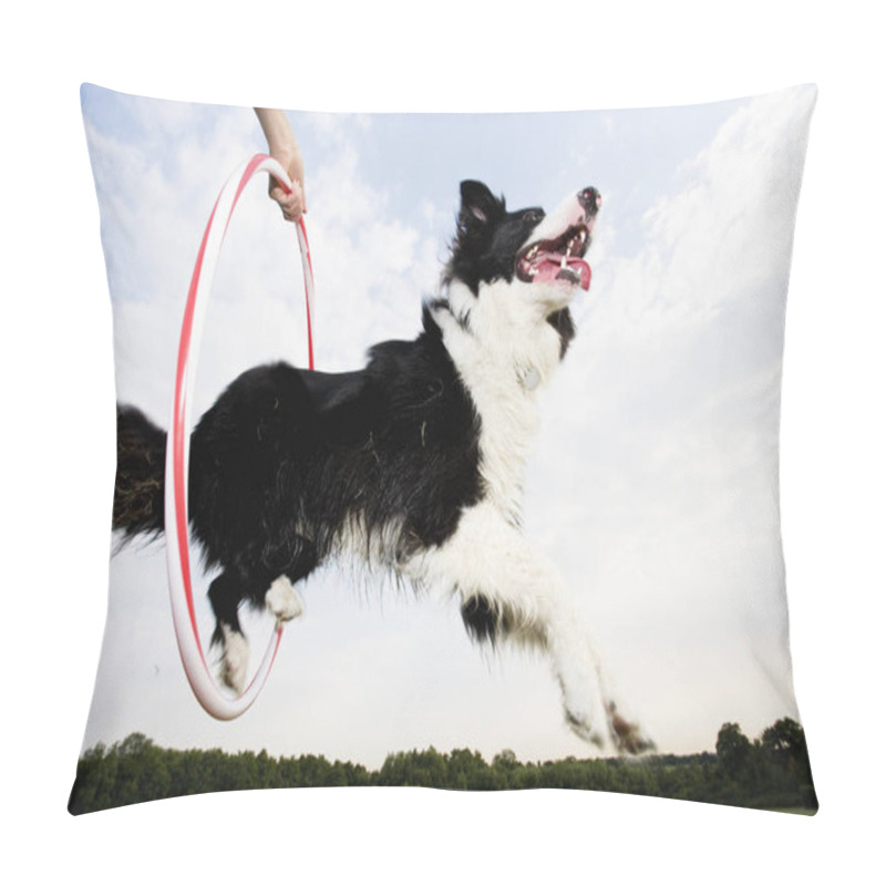 Personality  A Sheepdog Jumping Through A Hoop Pillow Covers