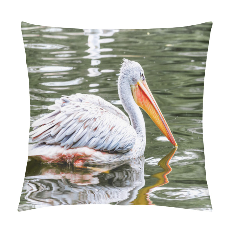 Personality  Pelican Pillow Covers