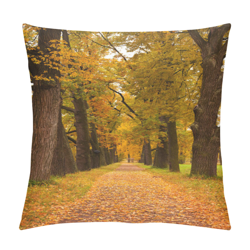 Personality  Autumn Trees In The Park Pillow Covers