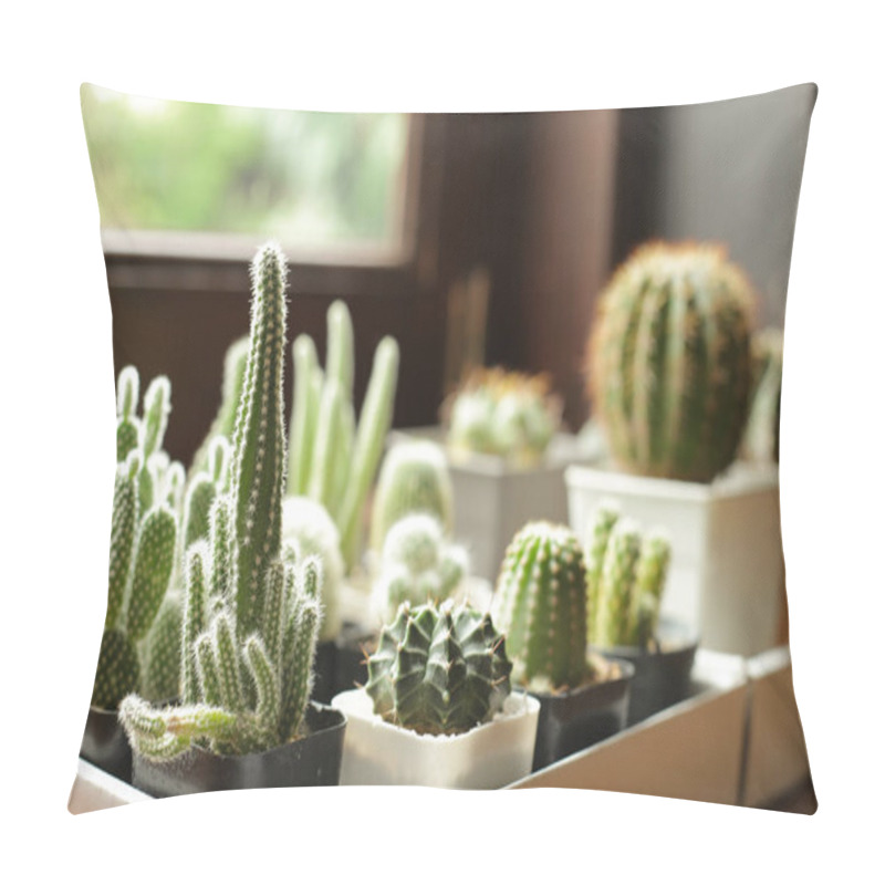 Personality  Many Small Potted Cacti In Boxes, Planted Indoor Near Window. Pillow Covers