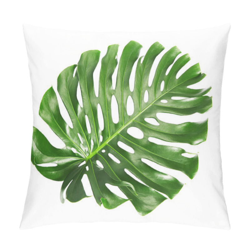 Personality  Monstera Deliciosa Leaf Or Swiss Cheese Plant, Isolated On White Background, With Clipping Path Pillow Covers