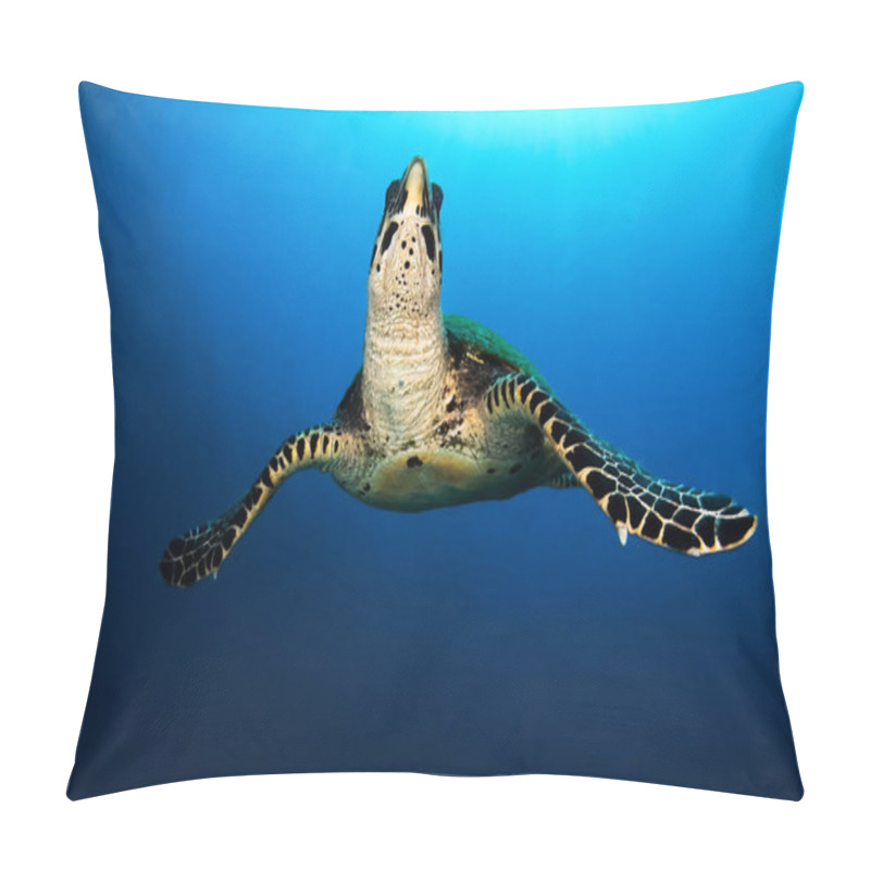 Personality  Sea Turtle Swimming In Blue Ocean Pillow Covers