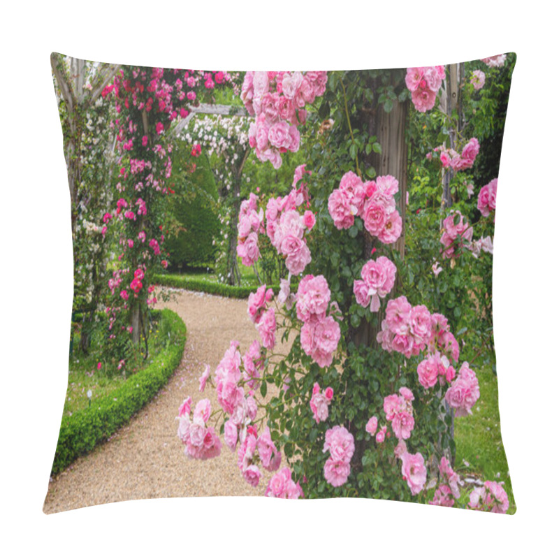 Personality  Beautiful Pink Roses Blooming In The Rose Garden. Pillow Covers