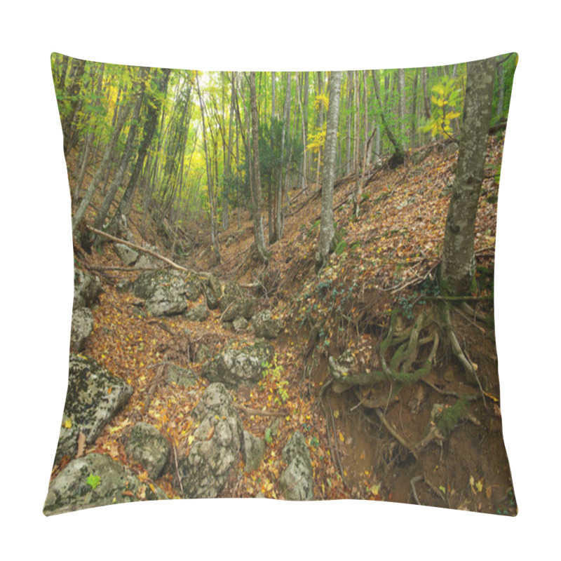 Personality  Autumn Forest Pillow Covers