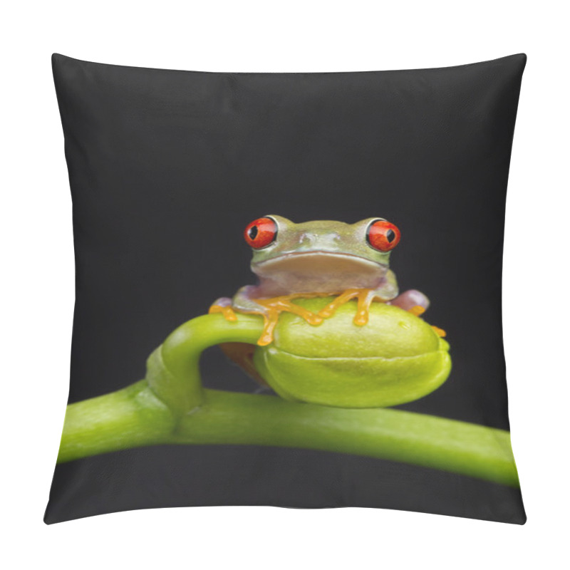 Personality  Baby Frog On Orchid Pillow Covers