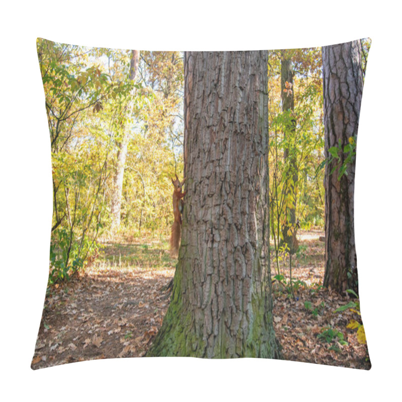 Personality  Red Squirrel With A Nut Climbs A Tree In The Autumn Forest Pillow Covers