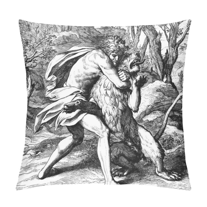 Personality  Samson Kills The Lion  Pillow Covers