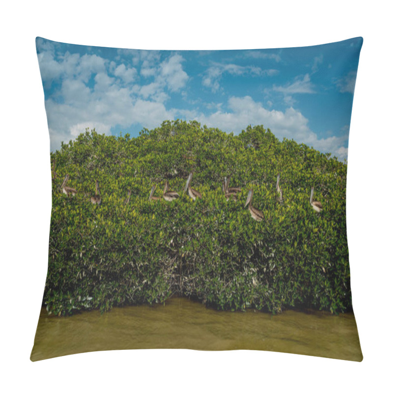 Personality  Pelicans And Gulls In The Mangroves In Celestun National Park. Mexico. Pillow Covers