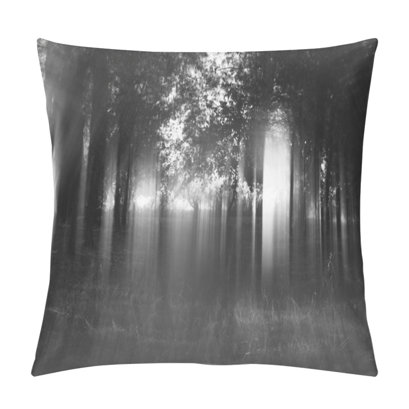 Personality  Abstract And Mysterious Background Of Blurred Forest Pillow Covers