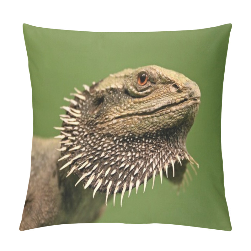 Personality  Bearded Dragon, Amphibolurus Barbatus Pillow Covers