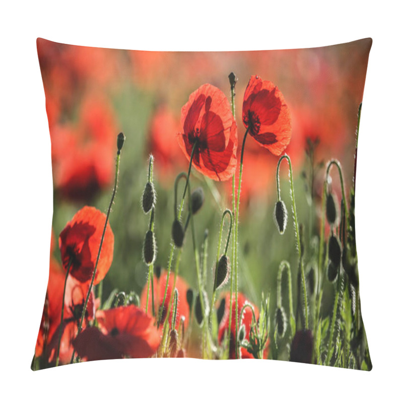 Personality  Close-up Of Red Poppy Flowers In Summer. Pillow Covers