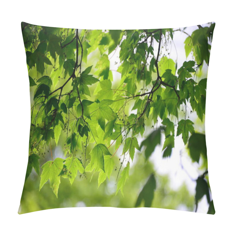 Personality  Flora Of Wild Forest At Daytime Pillow Covers