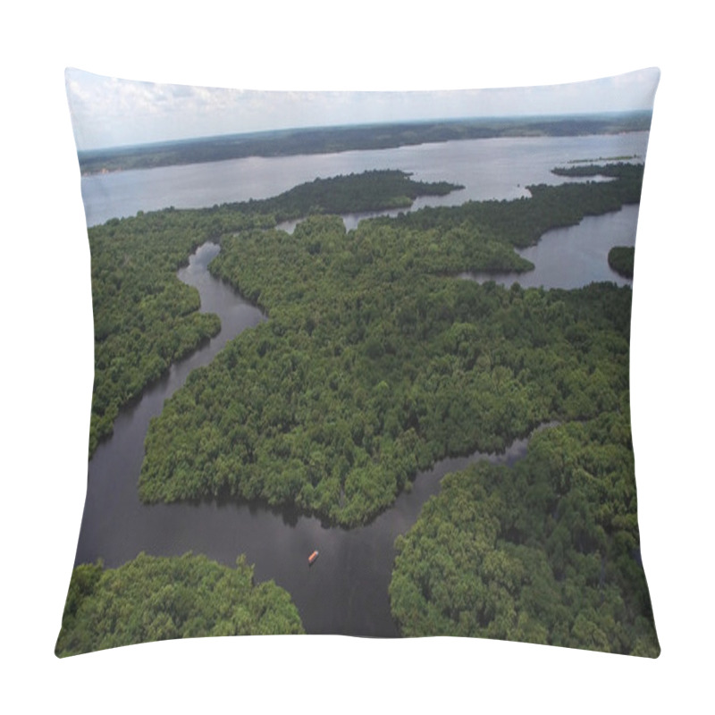 Personality  Amazon Rainforest In Brazil Pillow Covers