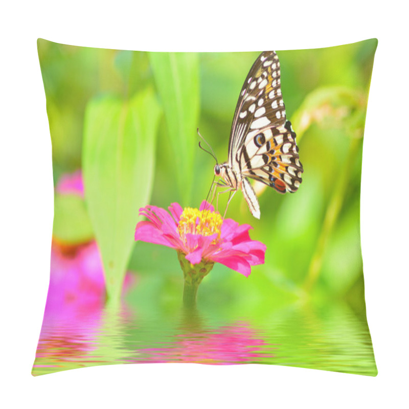 Personality  Butterfly On Flower Pillow Covers