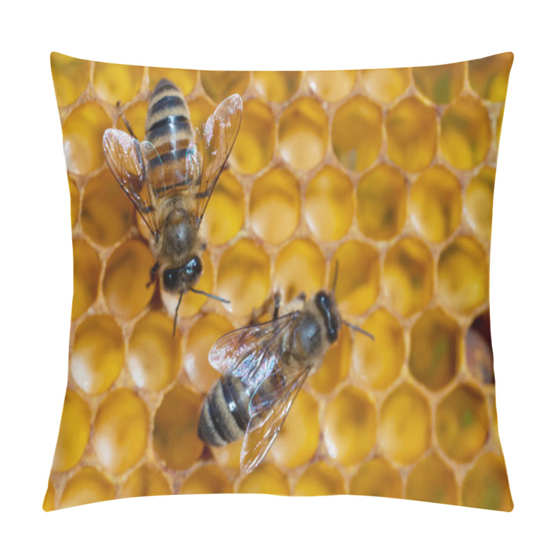 Personality  Close-up Of Working Bees On Honeycombs. Beekeeping And Honey Production Image Pillow Covers