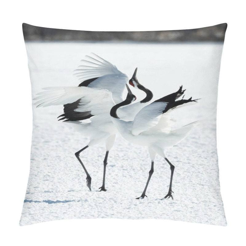 Personality  Dancing Cranes. The Ritual Marriage Dance Of Cranes. The Red-crowned Cranes. Scientific Name: Grus Japonensis, Also Called The Japanese Crane Or Manchurian Crane, Is A Large East Asian Crane. Pillow Covers