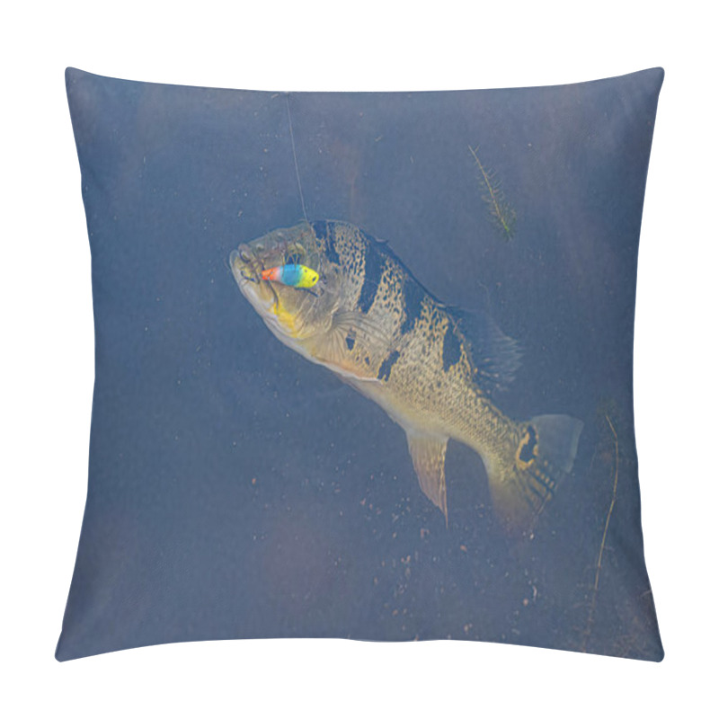 Personality  Peacock Bass Fish Of The Genus Cichla Pillow Covers