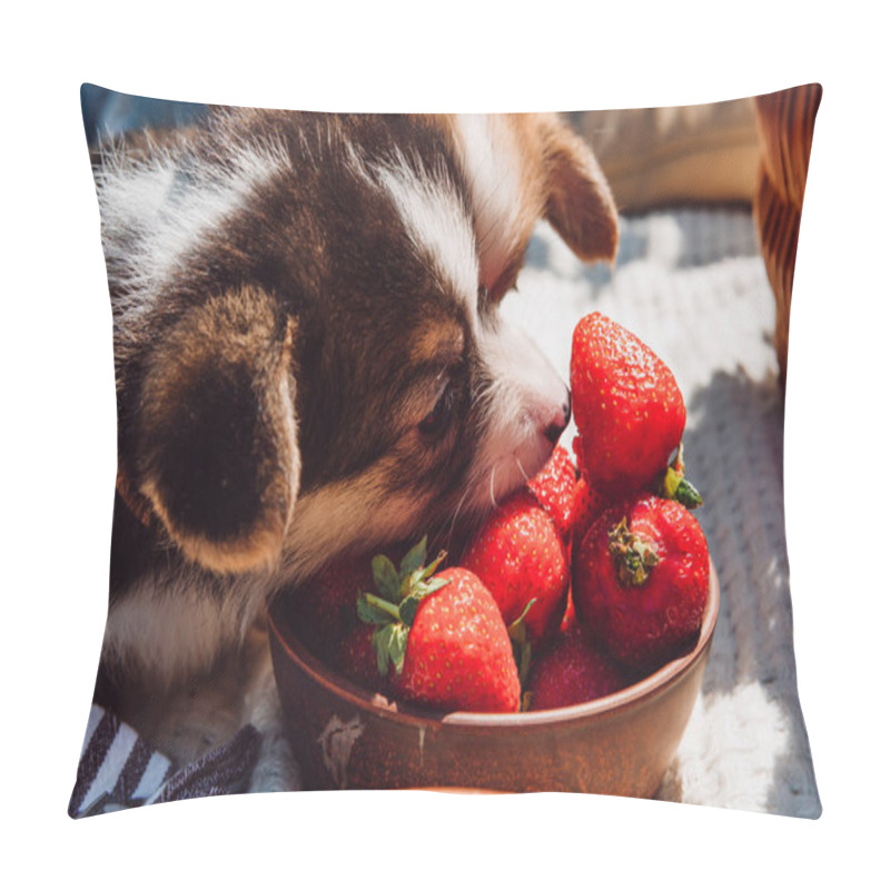 Personality  Cute Puppies Eating Strawberries Together From Bowl During Picnic At Sunny Day Pillow Covers