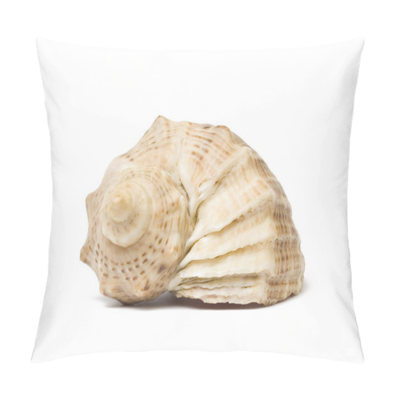 Personality  Sea Shell Isolated On White Background. Studio Shot. Close Up. Pillow Covers