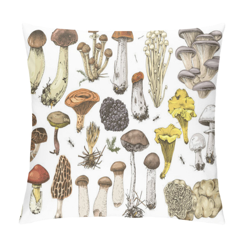 Personality  Hand Drawn Edible Mushrooms Collection Pillow Covers