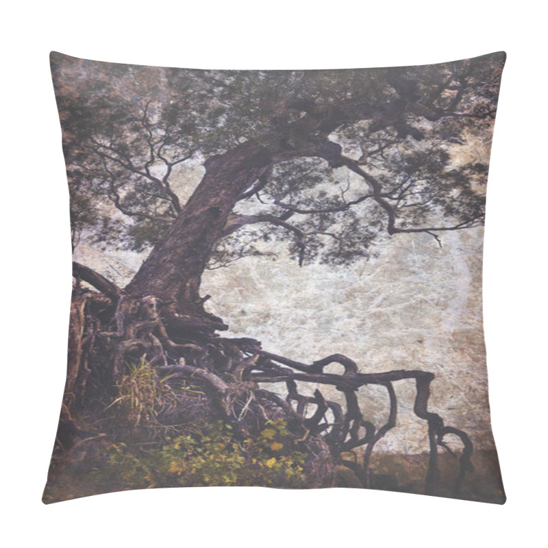 Personality  Creepy Old Tree With Exposed Tangled Roots On An Eroded Gully Pillow Covers