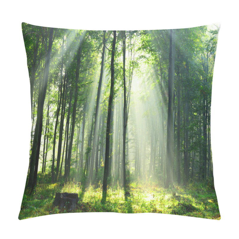 Personality  Beautiful Morning Sunrays In Forest Pillow Covers