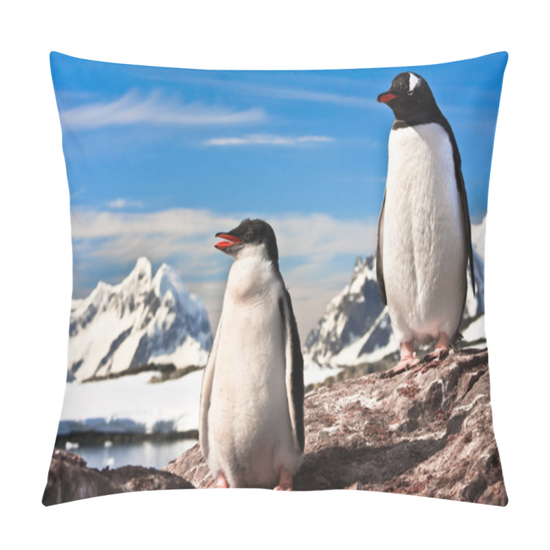 Personality  Two Penguins Resting Pillow Covers