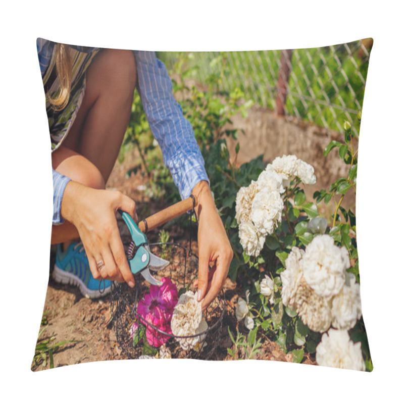 Personality  Woman Deadheading Spent Rose Blooms In Summer Garden. Gardener Cutting Dry Flowers Off With Pruner And Puts Them In Basket. Pillow Covers