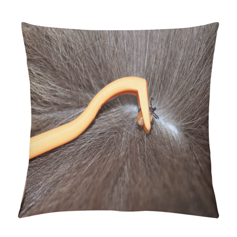 Personality  On A Cat, A Tick Is Removed With A Hook. Removal Of Ticks In Animals Pillow Covers