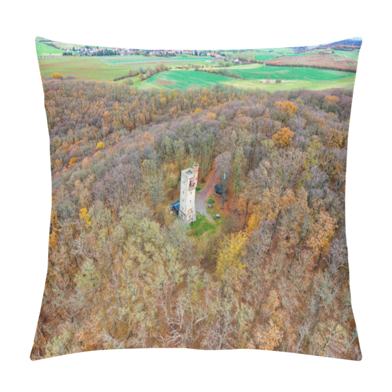 Personality  Moltkewarte Near Sangerhausen, An Observation Tower In The Forest Pillow Covers