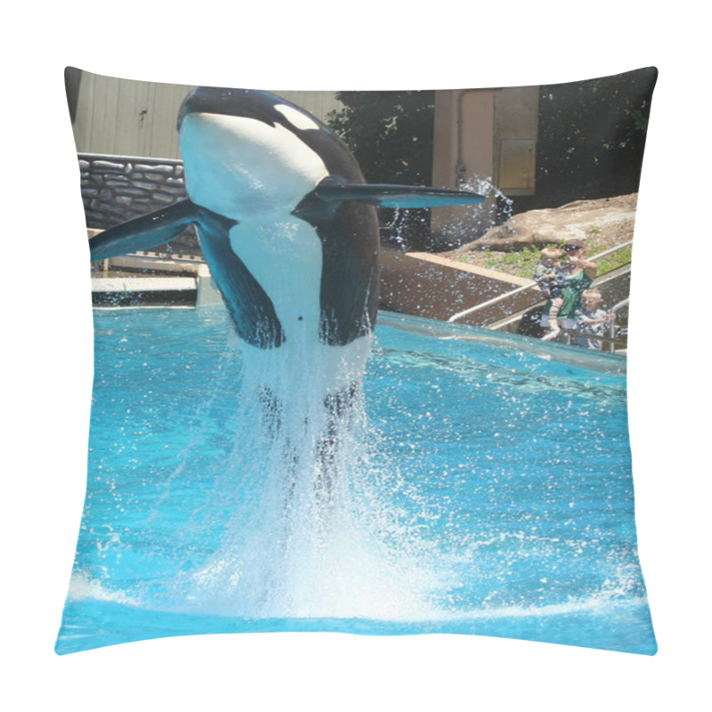 Personality  A Mother And Her Sons Watch An Orca Breach Pillow Covers