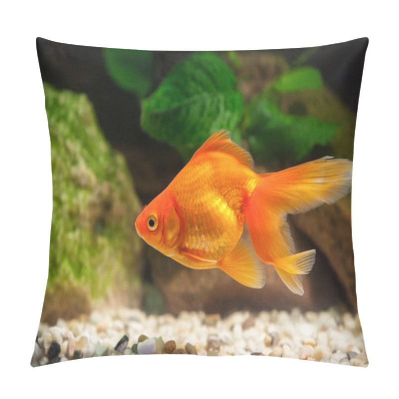 Personality  Goldfish In Aquarium With Green Plants, And Stones Pillow Covers