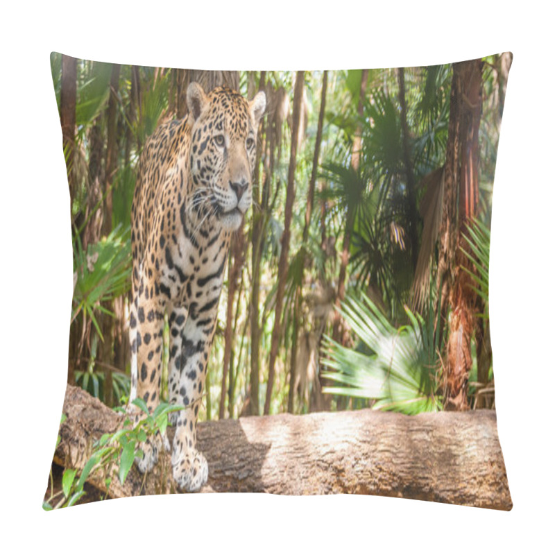 Personality  Walking Jaguar Pillow Covers