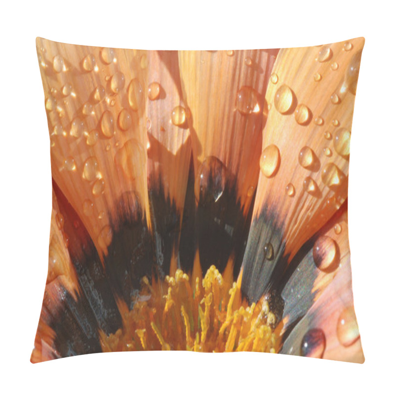 Personality  Gazania With Water Drops Pillow Covers