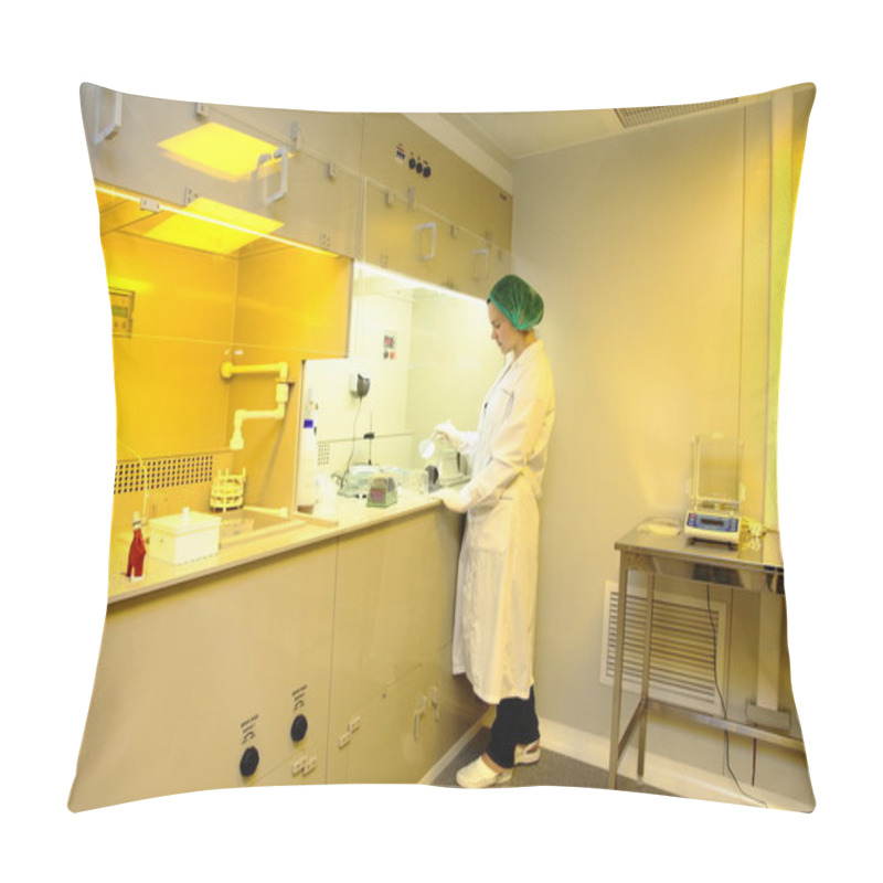 Personality  Clean Room In Nuclear Research Centre, Photolithography Pillow Covers