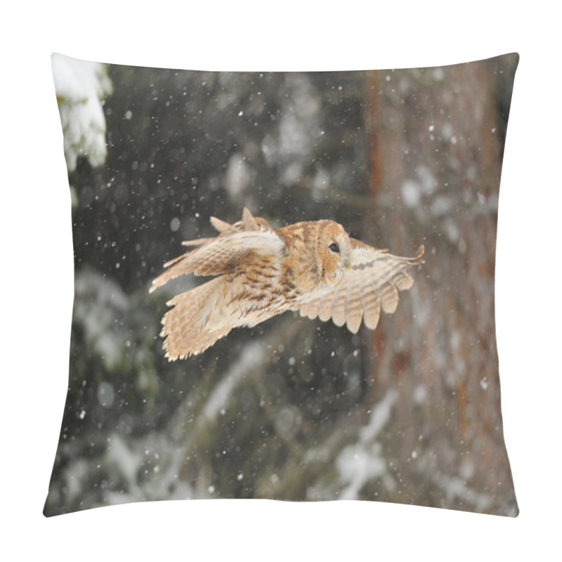 Personality  Flying Tawny Owl Pillow Covers