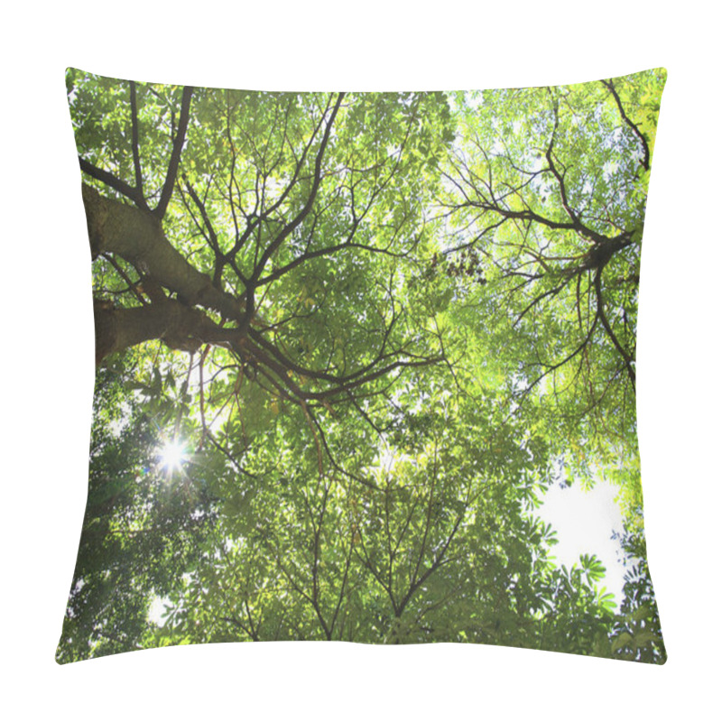 Personality  Green Trees In Deep Forest  Pillow Covers