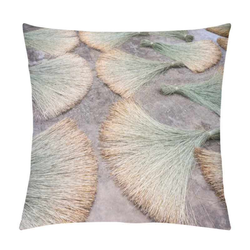 Personality  Drying Rush (sedge) On Asphalt Surface Pillow Covers