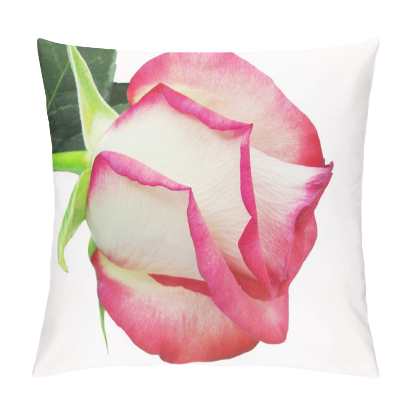 Personality  Pink And White Rose Closeup Pillow Covers